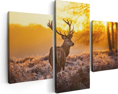 Artaza Canvas Schilderij Drieluik Hert In Bos Tijdens De Zonsopkomst - 90x60 cm - Wanddecoratie Woonkamer - Schilderijen - Muurdecoratie