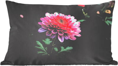 Sierkussens - Kussentjes Woonkamer - 60x40 cm - Blad - Chrysant - Roze - Schaduw