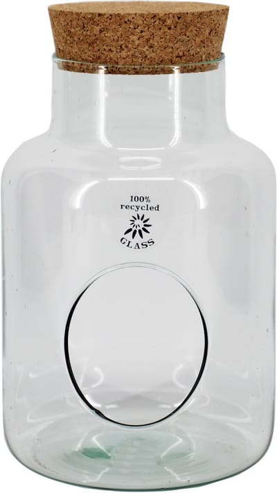 Bela Arte Sierfles terrarium met kurk dop - D17 x H25 cm - transparant glas - met gat