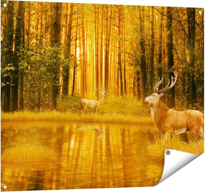 Gards Tuinposter Twee Herten in het Bos bij het Water - 100x80 cm - Tuindoek - Tuindecoratie - Wanddecoratie buiten - Tuinschilderij