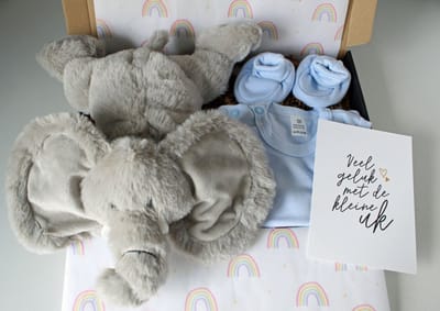 Brievenbus cadeau Knuffel Olifant - cadeau baby - cadeau jongen - kraamcadeau