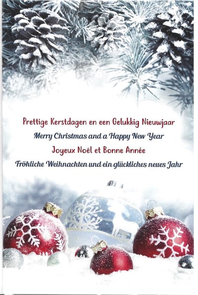Kerstkaarten Int. tekst Nr. 89 10 stuks