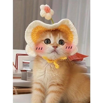 1 pc Chapeau de soleil au crochet fait main pour animaux de compagnie, Convient aux chiens et chats de moins de 8 kg S