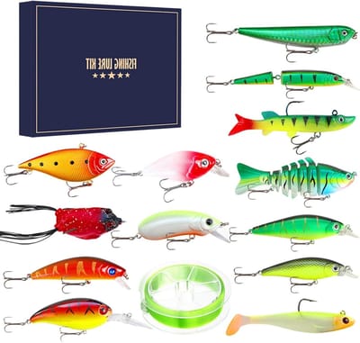 Vis Aas Set - Lokmiddel Kit - Vissen Buiten - Compleet Vistuigtuig - 35x25x4 cm - Multi