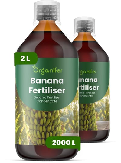 Vloeibare Meststof Voor Banaan 2X1 L Voor 2000 L - Npk 2-1-8 - Krachtige Groei - Tropisch Blad - Bladgrootte - Snelle Vegetatieve Ontwikkeling - Sterk Wortelstelsel - Hittebestendig - Felle Zon- Herstel Na Snoei - Organifer