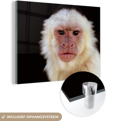 MuchoWow® Glasschilderij 160x120 cm - Schilderij acrylglas - Aap - Vacht - Zwart - Foto op glas - Schilderijen