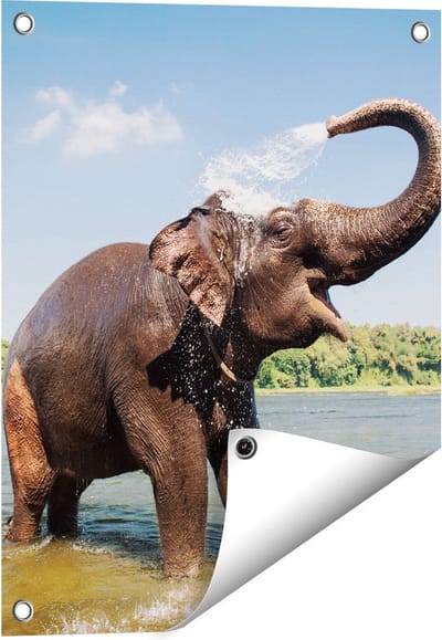 Gards Tuinposter Vrolijke Olifant in het Water - 40x50 cm - Tuindoek - Tuindecoratie - Wanddecoratie buiten - Tuinschilderij