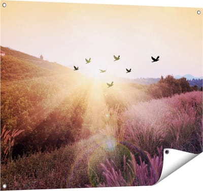 Gards Tuinposter Silhouet Zwerm Vogels bij Zonsondergang - 100x80 cm - Tuindoek - Tuindecoratie - Wanddecoratie buiten - Tuinschilderij