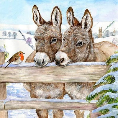 5D DIY Diamond Painting  Ezel en vogel  Dieren Borduren Kruissteek Strass Home Decor Cadeau 30x30CM beige