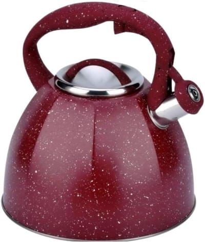 Geklokte Waterkoker - Theepot RVS - Water Koken - Hittebestendige Handgreep - 3.7L - Zilver
