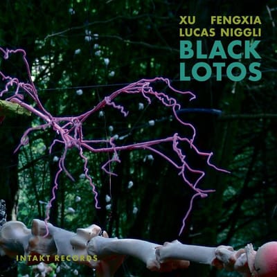 Xu Fengxia & Lucas Niggli - Black Lotos (CD)