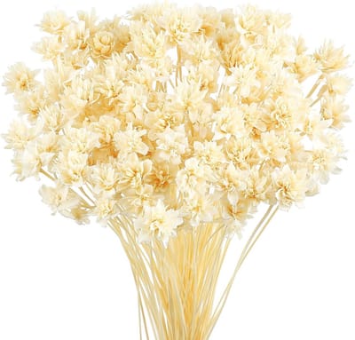 100 Stuks Mini Gedroogde Bloemen Wit - Natuurlijke Kleine Ster Bloemen voor Decoratie en Vaas