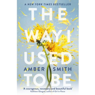 The Way I Used To Be - The Way I Used To Be - Amber Smith