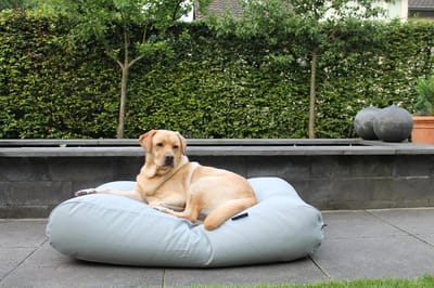 Dog's Companion Hondenkussen / Hondenbed - XS - 55 x 45 cm - Lichtgrijs Canvas/Katoen