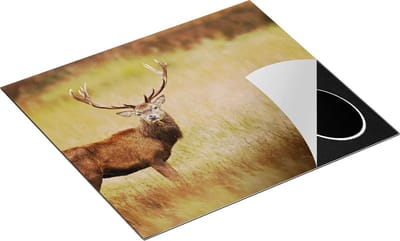 Chefcare Inductie Beschermer Hert in de Weide - 60x50 cm - Afdekplaat Inductie - Kookplaat Beschermer - Inductie Mat