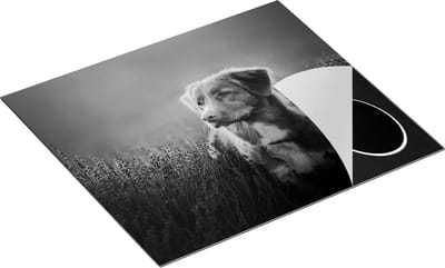 Chefcare Inductie Beschermer Retriever Hond tussen de Lavendel Bloemen - Zwart Wit - 60x50 cm - Afdekplaat Inductie - Kookplaat Beschermer - Inductie Mat