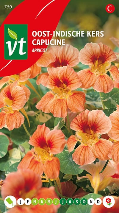 Oost-Indische Kers 'Apricot' Zaden - Apricotkleurige Bloemen voor Tuinen en Bloembedden