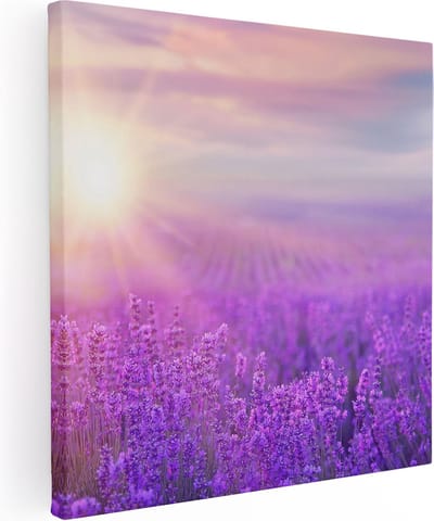 Artaza Canvas Schilderij Lavendelveld - 80x80 cm - Wanddecoratie Bloemen - Muurdecoratie Zonsondergang - Decoratie Paars