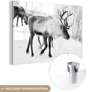 MuchoWow® Glasschilderij 180x120 cm - Schilderij acrylglas - Een kerstfoto van rendieren langs de wegen van het Finse Kilpisjarvi - zwart wit - Foto op glas - Schilderijen