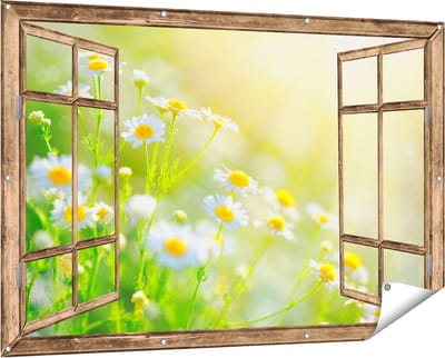 Gards Tuinposter Doorkijk Witte Kamille Bloemen met Zonneschijn - 150x100 cm - Tuindoek - Tuindecoratie - Wanddecoratie buiten - Tuinschilderij