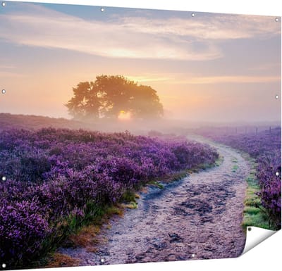 Gards Tuinposter Pad in de Weide van de Veluwe - 150x120 cm - Tuindoek - Tuindecoratie - Wanddecoratie buiten - Tuinschilderij