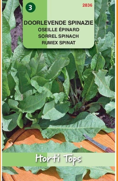 2 stuks Hortitops Spinazie Doorlevende Rumex Patientia