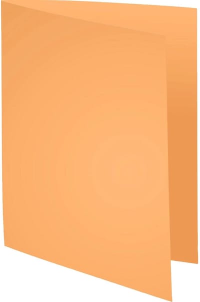 Exacompta 5x SUPER 210 Pak van 100 mappen 210g/m2 -24x32cm voor A4. - Gems - 330002E
