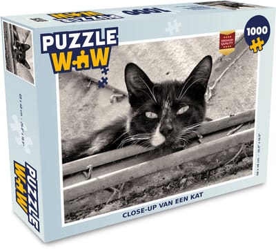 Puzzel Close-up van een kat - Legpuzzel - Puzzel 1000 stukjes volwassenen