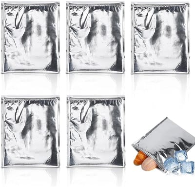 Dailygoods- Isolatietas 30 x 35 cm - Opvouwbaar - Waterdicht - Aluminium Folie - Thermisch - Hoge Kwaliteit Isolatie - Koeltas