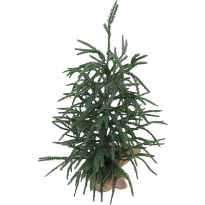 Kunst Kerstboom PET Groen Mini Kerst Dennenboom Tafelblad Middenstuk voor Thuis Vakantie Binnen Eettafel Decoratie 60cm 60cm/2.0ft gray