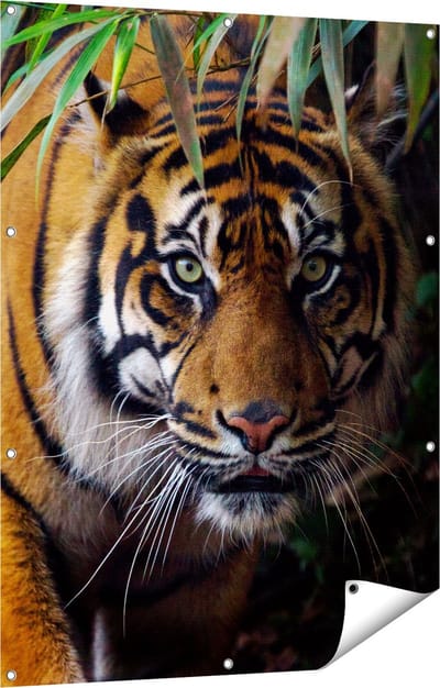 Gards Tuinposter Tijger in de Jungle - 90x120 cm - Tuindoek - Tuindecoratie - Wanddecoratie buiten - Tuinschilderij