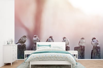 Behang - Fotobehang Vogels - Mussen - Paaltjes - Hout - Breedte 420 cm x hoogte 280 cm