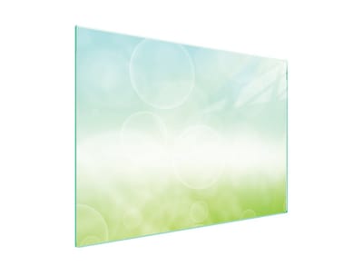 TMK ArtDeko - Protectieplaat - Gehard Glas - 70x52 cm - Stokrozen