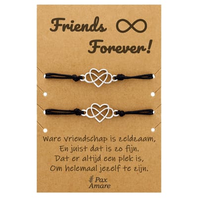 Vriendschapsarmbandjes voor 2 " Friends Forever ∞" - Hartje in Oneindigheidsteken - BFF Armbandjes met Persoonlijk Cadeau Kaartje - Zilverkleurig - Elastisch Verstelbaar - Pax Amare