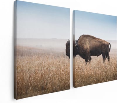 Artaza Canvas Schilderij Tweeluik Bizon in het Gras - 120x80 - Foto Op Canvas - Canvas Print