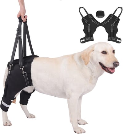 Honden Achterpoot Ondersteuningsharnas - Mobiliteitshulp voor Oudere & Gewonde Huisdieren M