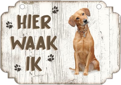 Hier Waak Ik: labrador blond | Waakbord | Spreukenbord | Hondenras | Hond | Betreden op eigen risico | Pas Op Voor De Hond | Deurbordjes | Bewaker Van Dit Huis
