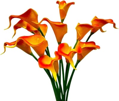 12 stuks kunstmatige calla lelie bloemen, 33 cm enkele hoofden PU bloemen boeketaccessoire, ideaal voor bruiloften, interieurdecoratie en groene planten decoratie