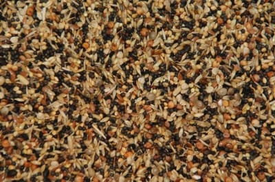 Wielink Wildzangzaad 20 kg