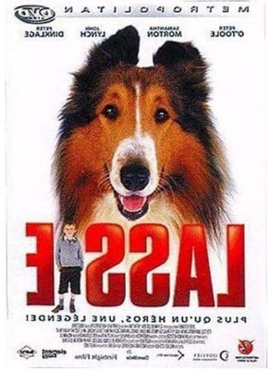Film DVD - Speelfilm Schijf - Film Kijken - Digitale Opname - Standaard Formaat - Gekleurd
