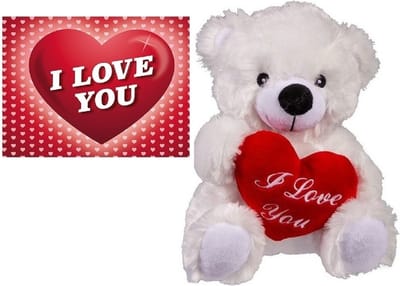 Bellatio Decorations Love set - Witte pluche knuffelbeertje met hartje - 22 cm - en romantische valentijnsdag kaart - A5 formaat