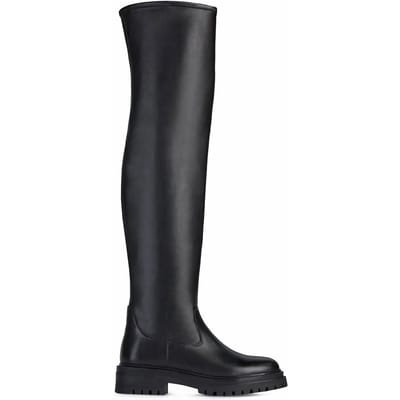 Dameslaarzen Geox Iridea H