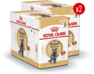 Royal Canin British Shorthair Adult Wet - 24 x 85 g - Katten Natvoer - Voordeelverpakking