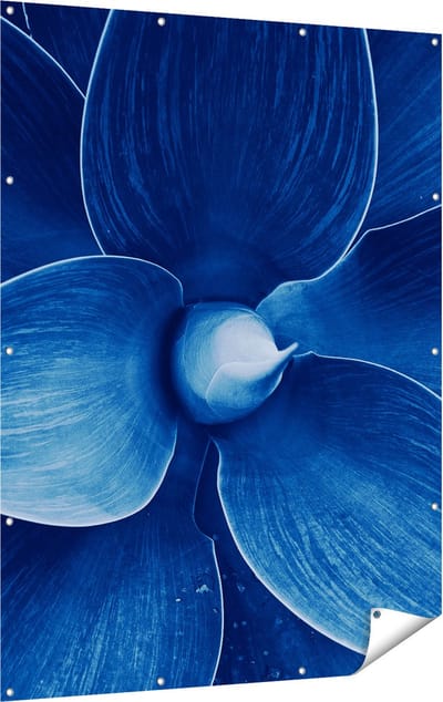 Gards Tuinposter Blauwe Agave Plant - Bloem - 120x160 cm - Tuindoek - Tuindecoratie - Wanddecoratie buiten - Tuinschilderij