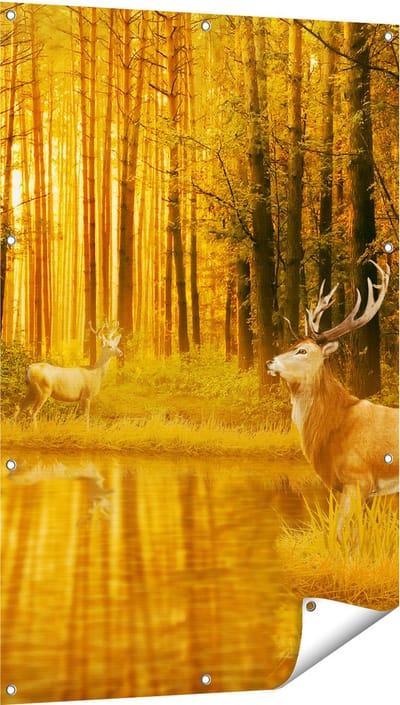 Gards Tuinposter Twee Herten in het Bos bij het Water - 80x120 cm - Tuindoek - Tuindecoratie - Wanddecoratie buiten - Tuinschilderij
