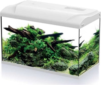 HS Aqua Platy 70 Aquarium Led White - 65 Liter Aquarium starterset
