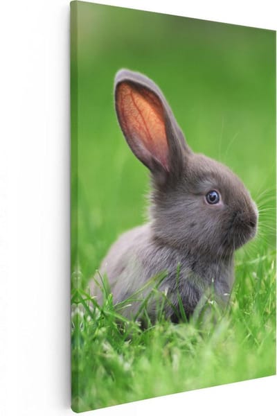 Artaza Canvas Schilderij Konijn In Gras - 20x30 cm - Klein - Wanddecoratie Dierenkop - Muurdecoratie Bos - Schilderijen Op Canvas Dieren