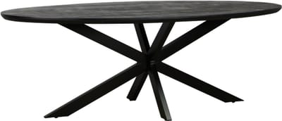 Eettafel Colorado ovaal mangohout 280x110 cm - verjongde rand - Zwart
