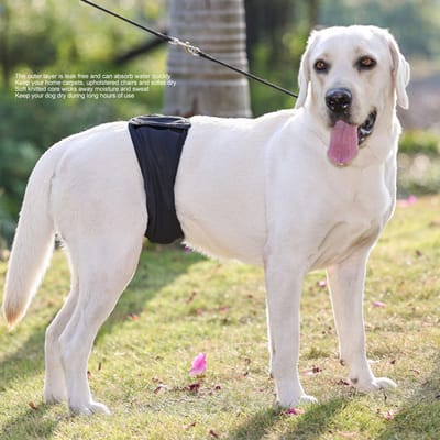 Honden Buikband  proof Sterk Wat  Absorberend Ademend Comfortabel Mannetje Hond Buikband