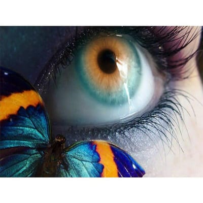 Diamond Schilderen Gratis Borduurpakketten Mozaïek Borduren Kruissteek Oog Foto Home Decor Cadeau 20X30CM gray